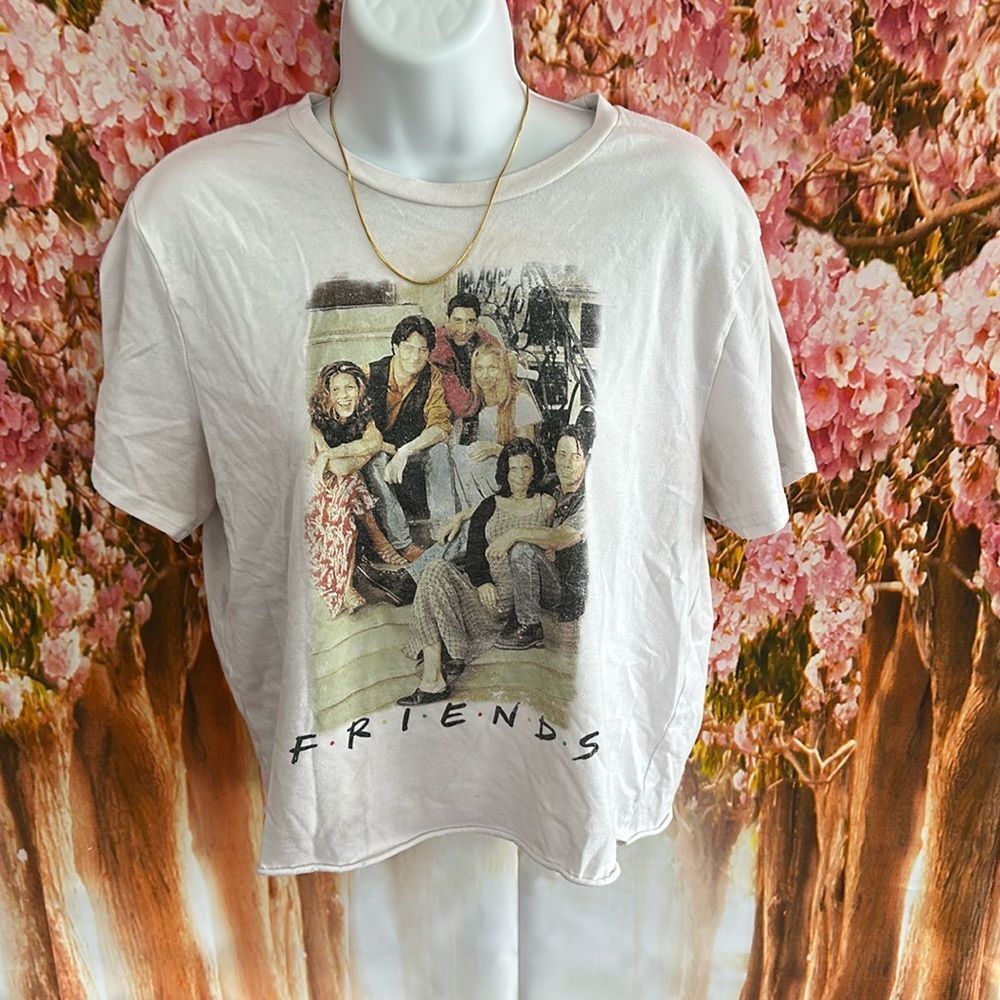 Friends Crop Tee Shirt Top
